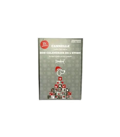 Extérieur calendrier Avent.webp