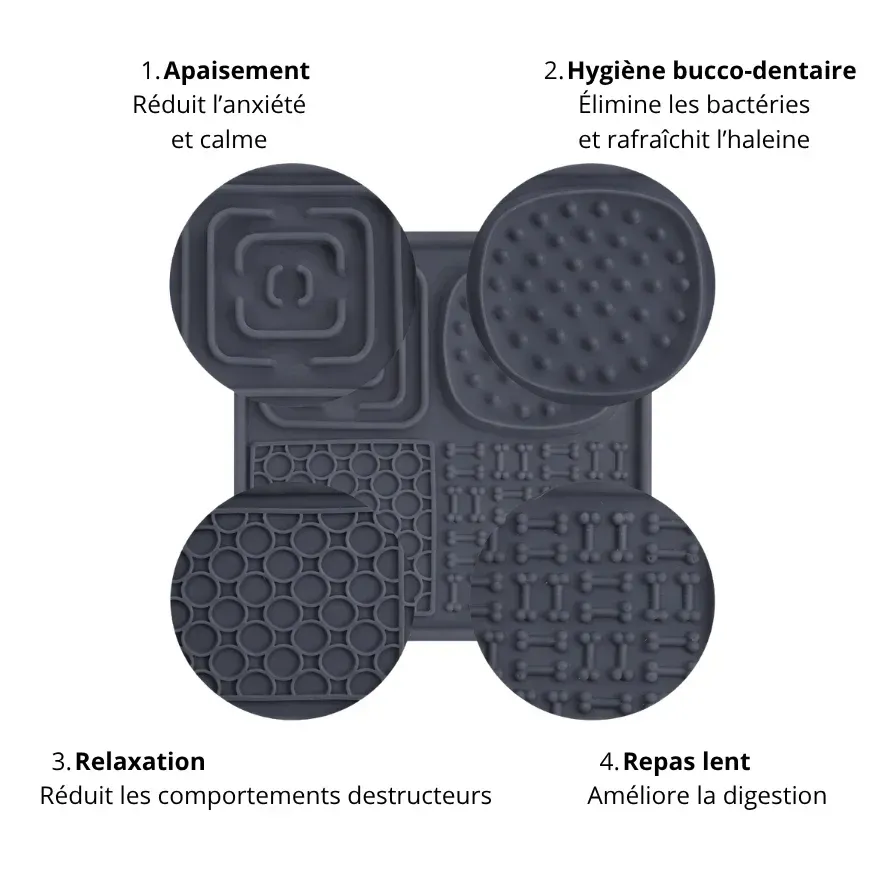 Avantages_Tapis_de_lechage_pour_chien.webp
