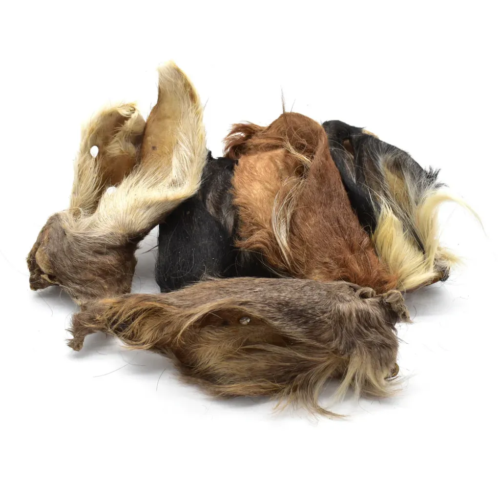 oreille_de_boeuf_avec_poils_5000x.webp