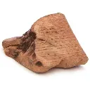 racine-de-bruyere-pour-chien_5000x.webp