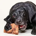 racine_de_bruyere_pour_chien.webp