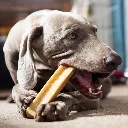 fromage_de_yak_pour_chien.webp