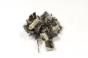 POISSON_ZOOM2.webp