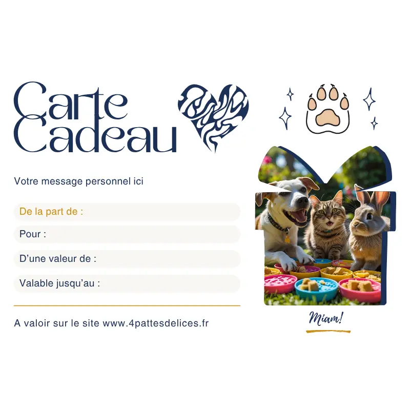 Carte-cadeau (20 €)