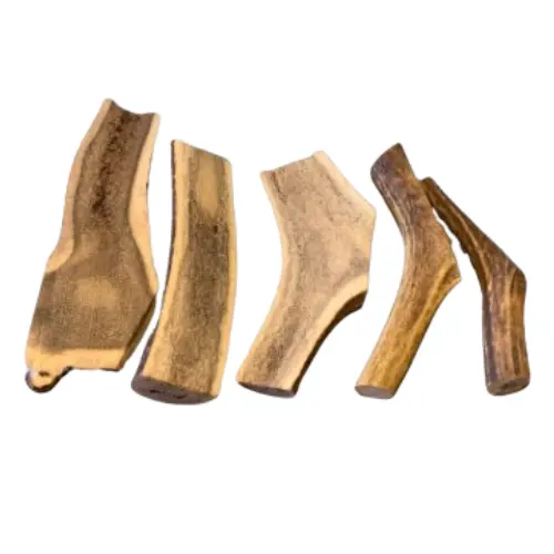 Bois de cerf tranché